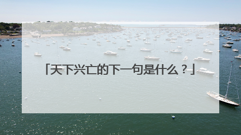 天下兴亡的下一句是什么？