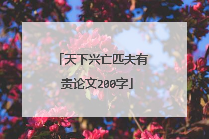 天下兴亡匹夫有责论文200字