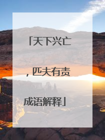 天下兴亡,匹夫有责成语解释