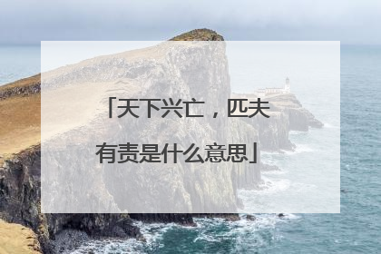 天下兴亡,匹夫有责是什么意思