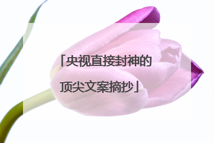 央视直接封神的顶尖文案摘抄
