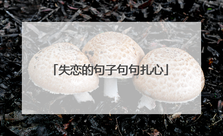 失恋的句子句句扎心