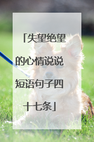 失望绝望的心情说说短语句子四十七条