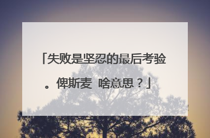 失败是坚忍的最后考验。俾斯麦 啥意思？