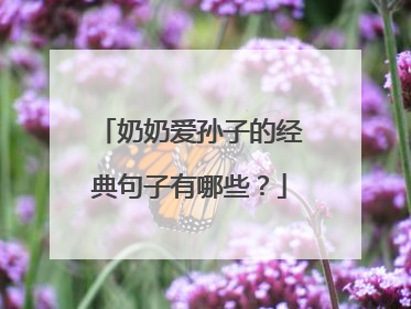 奶奶爱孙子的经典句子有哪些？