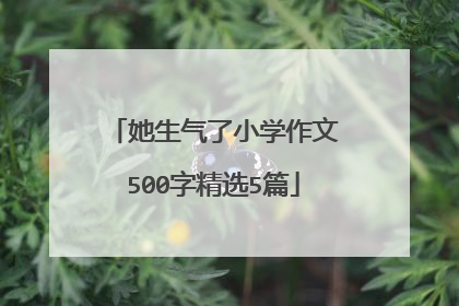 她生气了小学作文500字精选5篇