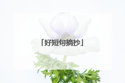 好短句摘抄