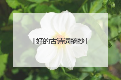 好的古诗词摘抄