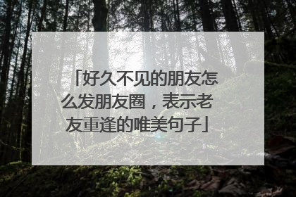 好久不见的朋友怎么发朋友圈,表示老友重逢的唯美句子
