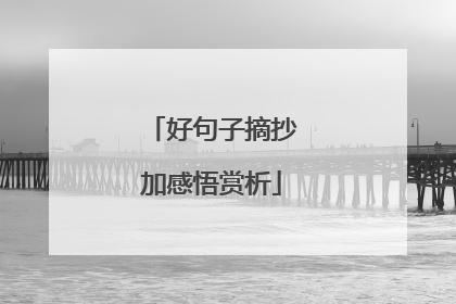 好句子摘抄加感悟赏析