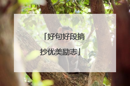 好句好段摘抄优美励志