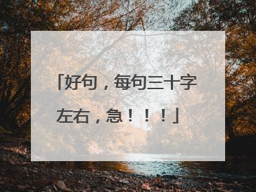 好句，每句三十字左右，急！！！