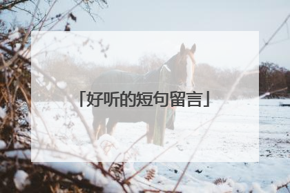 好听的短句留言