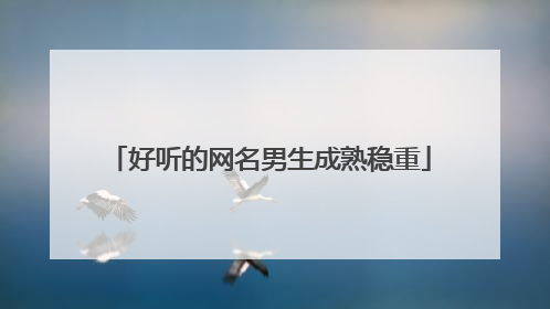 好听的网名男生成熟稳重