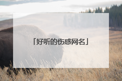 好听的伤感网名