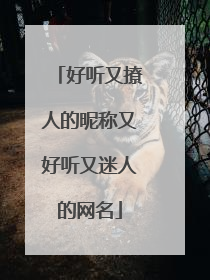 好听又撩人的昵称又好听又迷人的网名