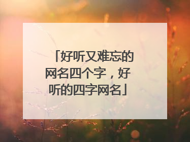 好听又难忘的网名四个字，好听的四字网名