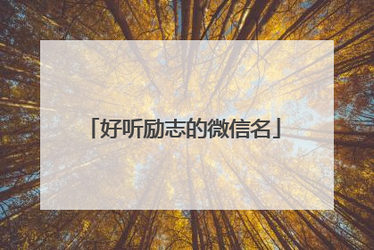 好听励志的微信名