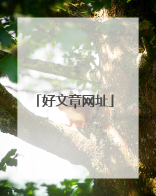 好文章网址