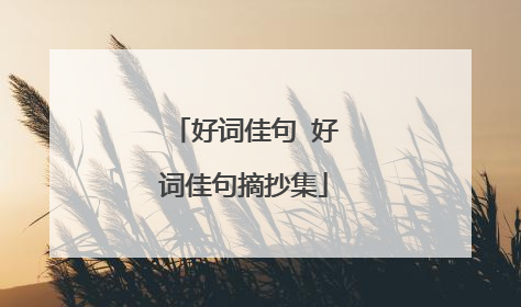 好词佳句 好词佳句摘抄集
