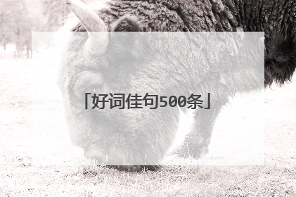 好词佳句500条