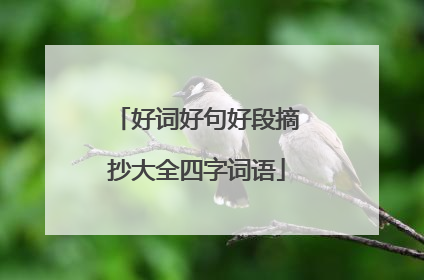 好词好句好段摘抄大全四字词语