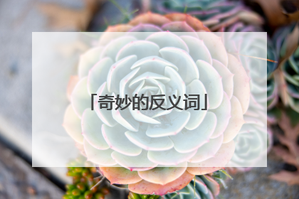 奇妙的反义词