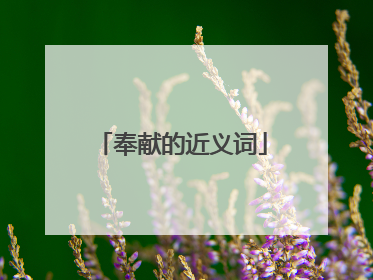 奉献的近义词