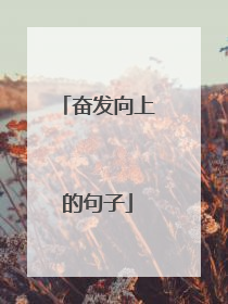 奋发向上的句子