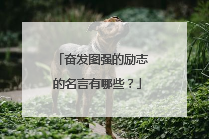 奋发图强的励志的名言有哪些？