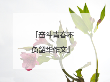 奋斗青春不负韶华作文