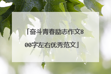 奋斗青春励志作文800字左右优秀范文