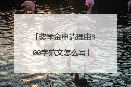 奖学金申请理由300字范文怎么写