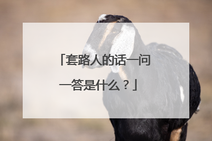 套路人的话一问一答是什么？