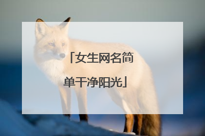 女生网名简单干净阳光