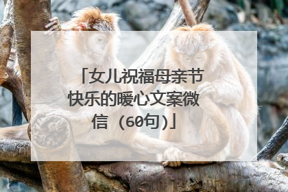 女儿祝福母亲节快乐的暖心文案微信 (60句)