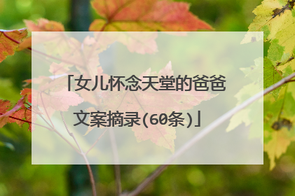 女儿怀念天堂的爸爸文案摘录(60条)