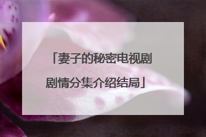 妻子的秘密电视剧剧情分集介绍结局