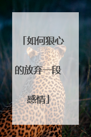 如何狠心的放弃一段感情