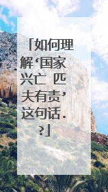 如何理解‘国家兴亡 匹夫有责’这句话.?