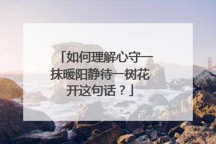 如何理解心守一抹暖阳静待一树花开这句话？