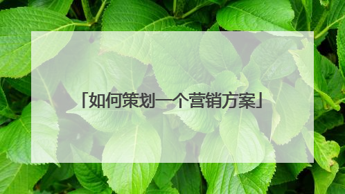 如何策划一个营销方案