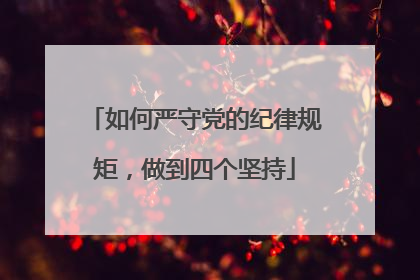 如何严守党的纪律规矩,做到四个坚持