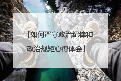 如何严守政治纪律和政治规矩心得体会