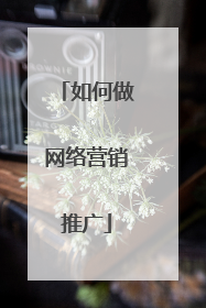 如何做网络营销推广