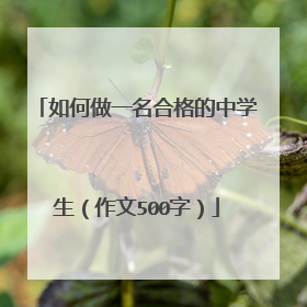 如何做一名合格的中学生(作文500字)
