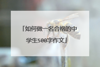 如何做一名合格的中学生500字作文