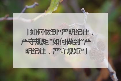 如何做到“严明纪律,严守规矩”如何做到“严明纪律,严守规矩”