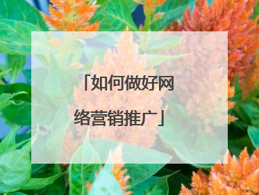 如何做好网络营销推广