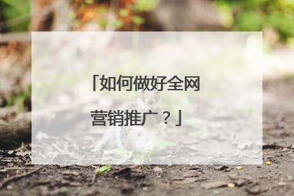 如何做好全网营销推广?